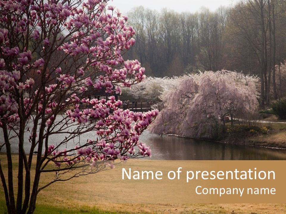 Blooming Tourism Nature PowerPoint Template