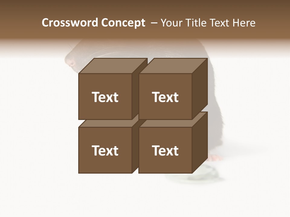 Mouse Test Mammal PowerPoint Template