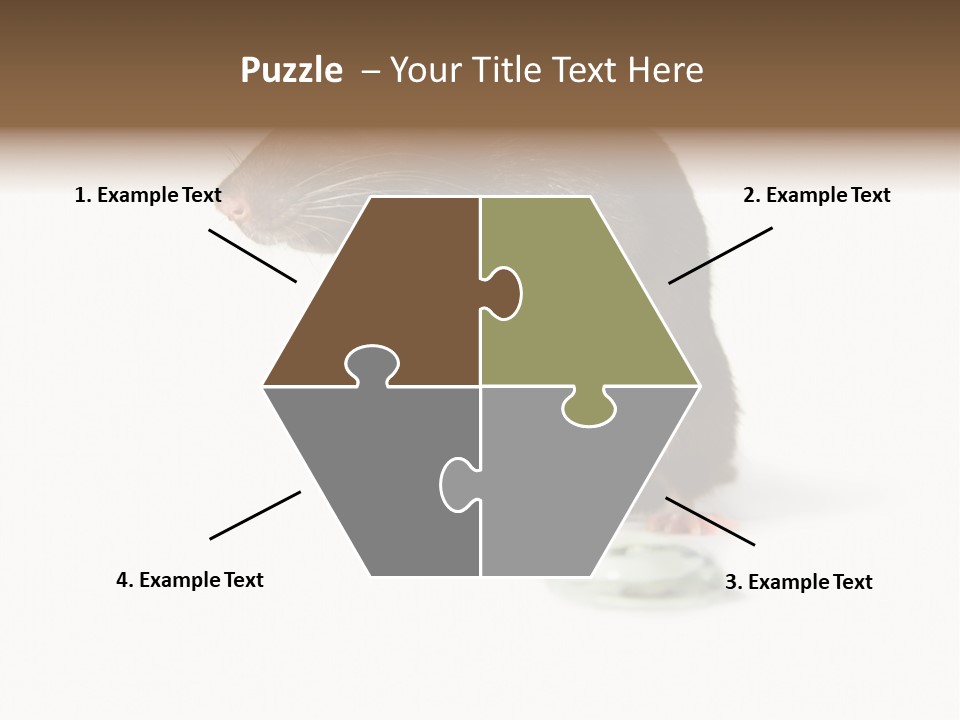 Mouse Test Mammal PowerPoint Template
