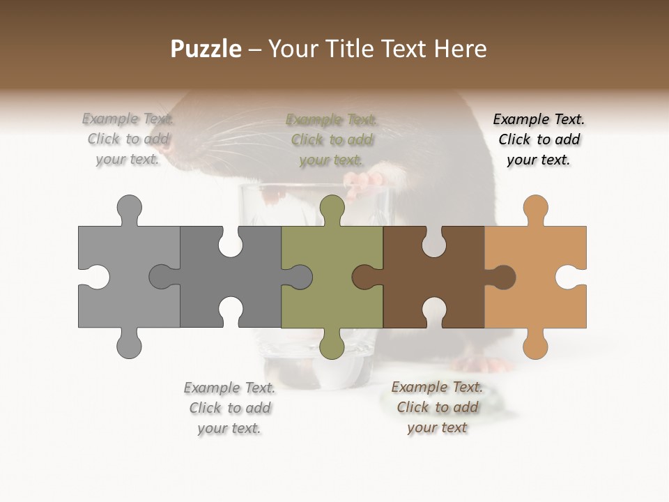 Mouse Test Mammal PowerPoint Template