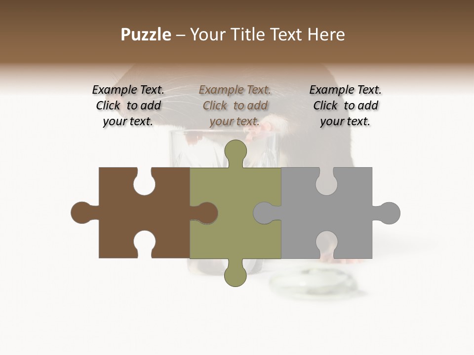 Mouse Test Mammal PowerPoint Template