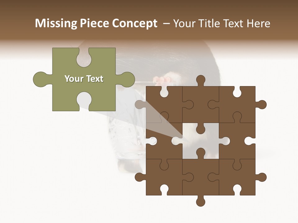 Mouse Test Mammal PowerPoint Template