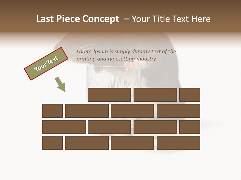 Mouse Test Mammal PowerPoint Template