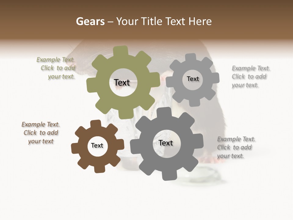 Mouse Test Mammal PowerPoint Template