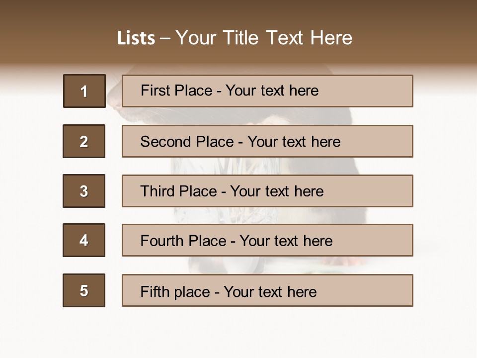 Mouse Test Mammal PowerPoint Template