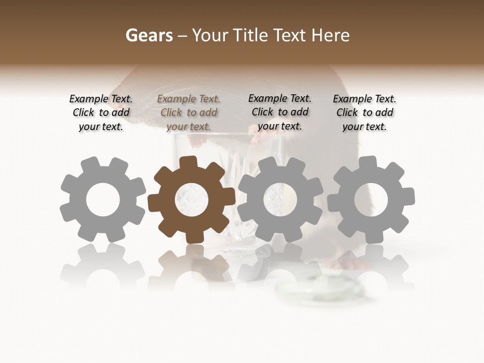 Mouse Test Mammal PowerPoint Template