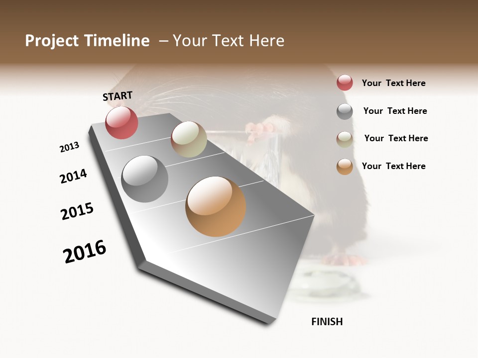 Mouse Test Mammal PowerPoint Template