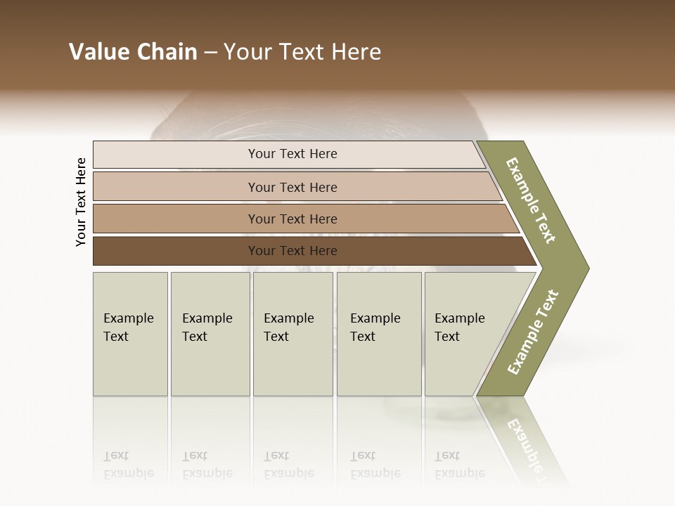 Mouse Test Mammal PowerPoint Template