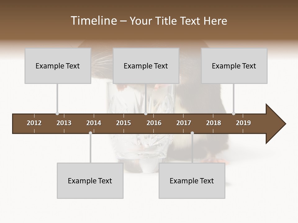Mouse Test Mammal PowerPoint Template