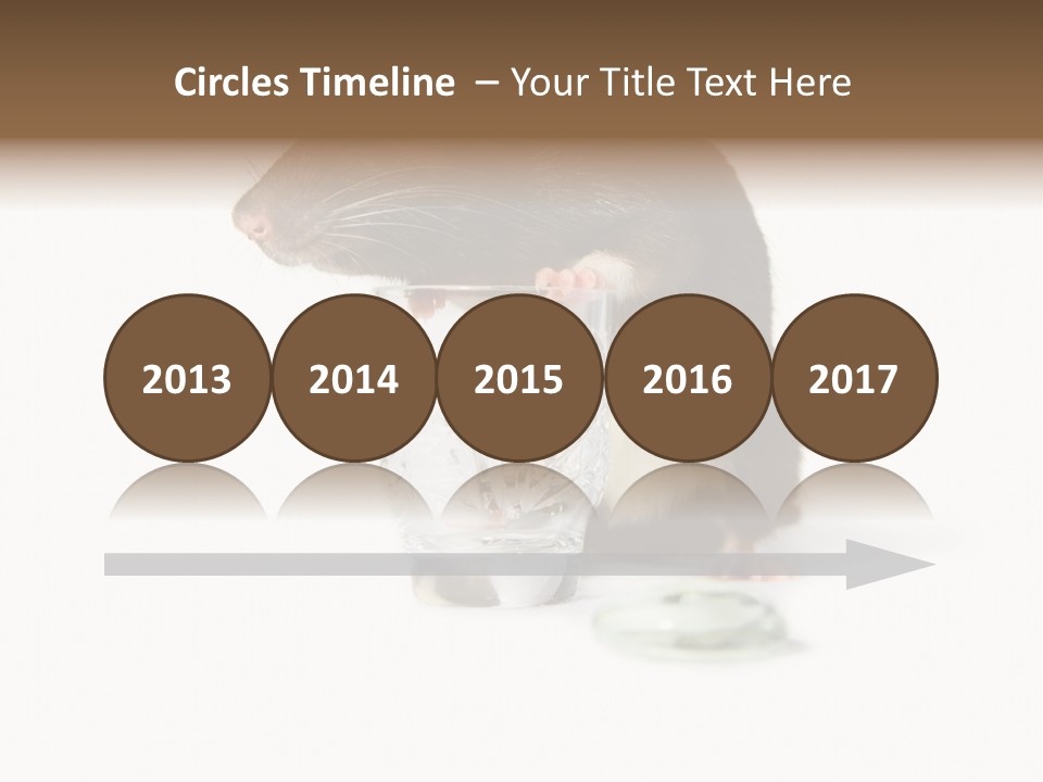 Mouse Test Mammal PowerPoint Template