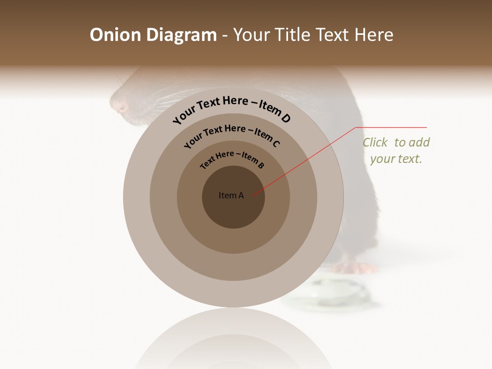 Mouse Test Mammal PowerPoint Template
