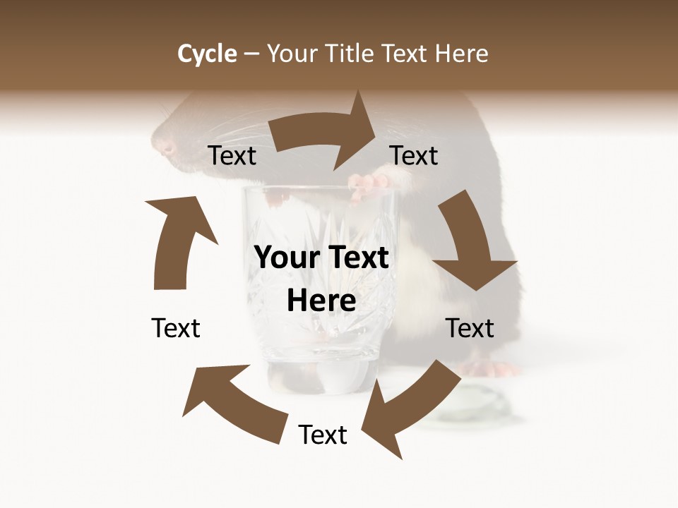 Mouse Test Mammal PowerPoint Template