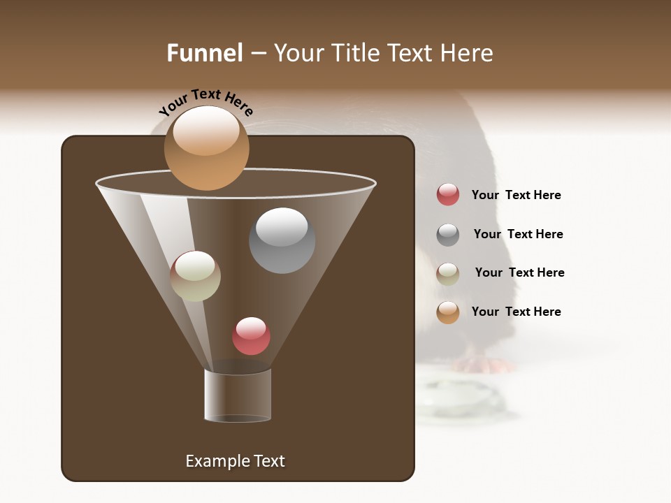 Mouse Test Mammal PowerPoint Template