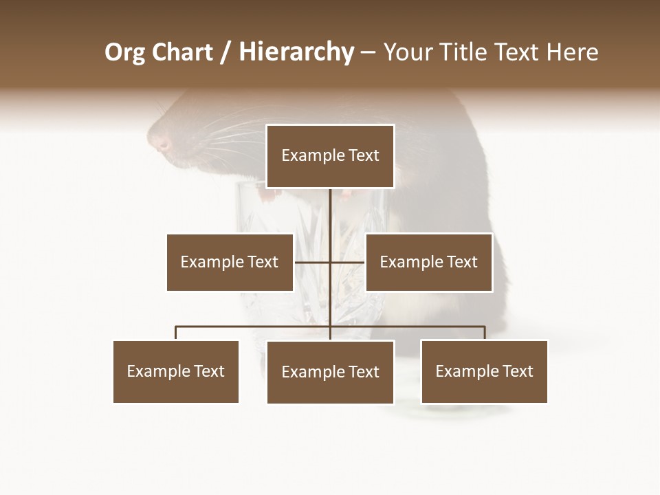 Mouse Test Mammal PowerPoint Template
