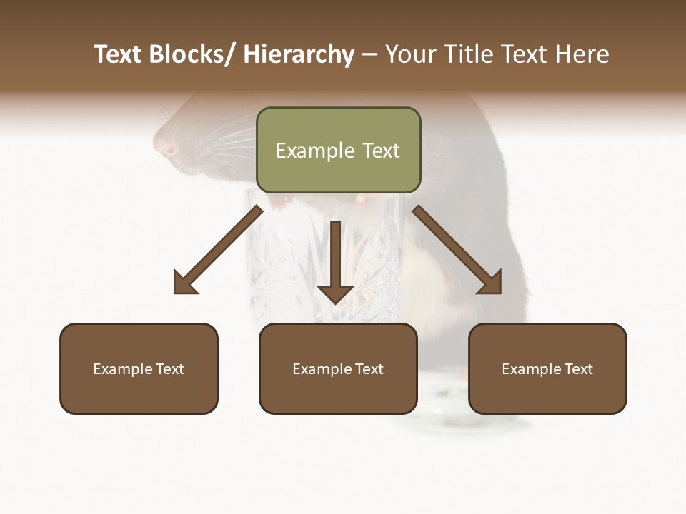 Mouse Test Mammal PowerPoint Template