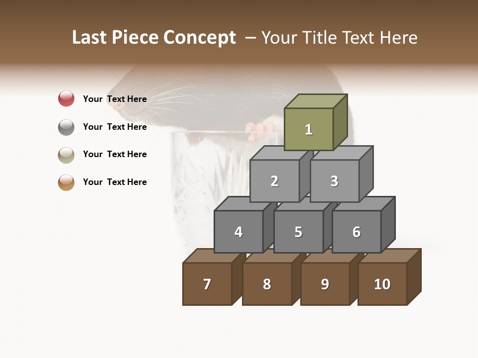 Mouse Test Mammal PowerPoint Template
