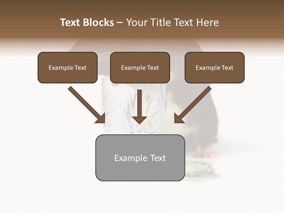 Mouse Test Mammal PowerPoint Template