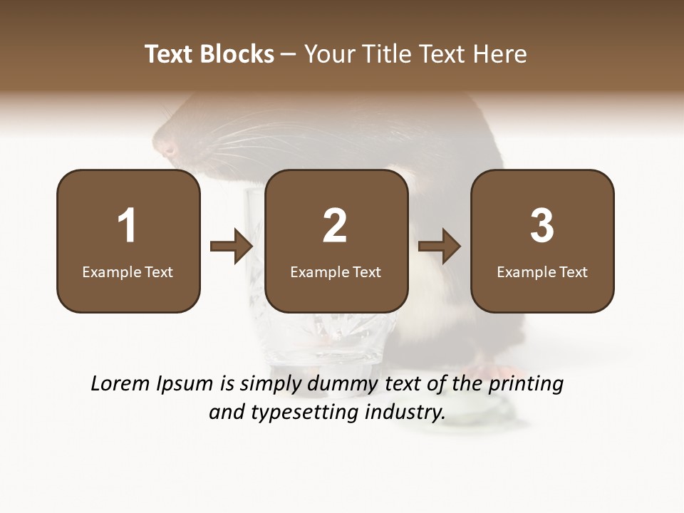 Mouse Test Mammal PowerPoint Template