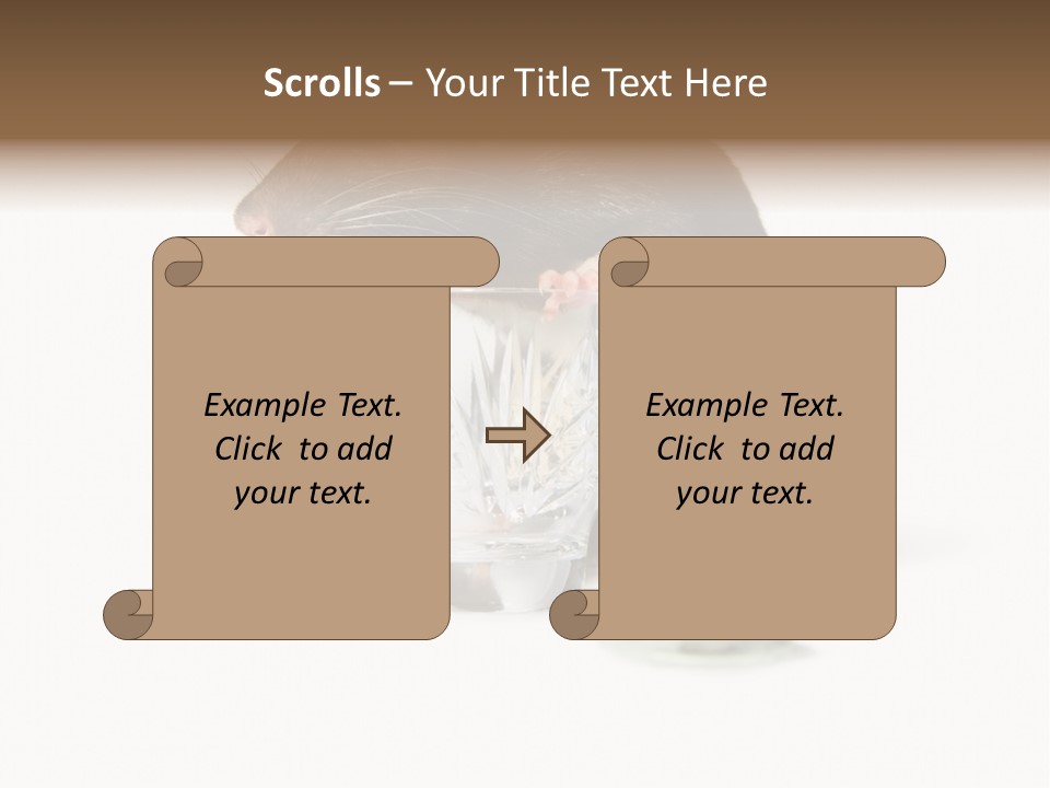 Mouse Test Mammal PowerPoint Template