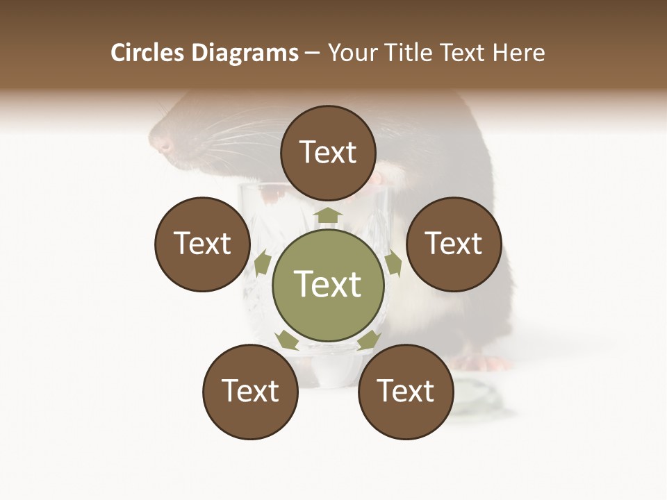 Mouse Test Mammal PowerPoint Template