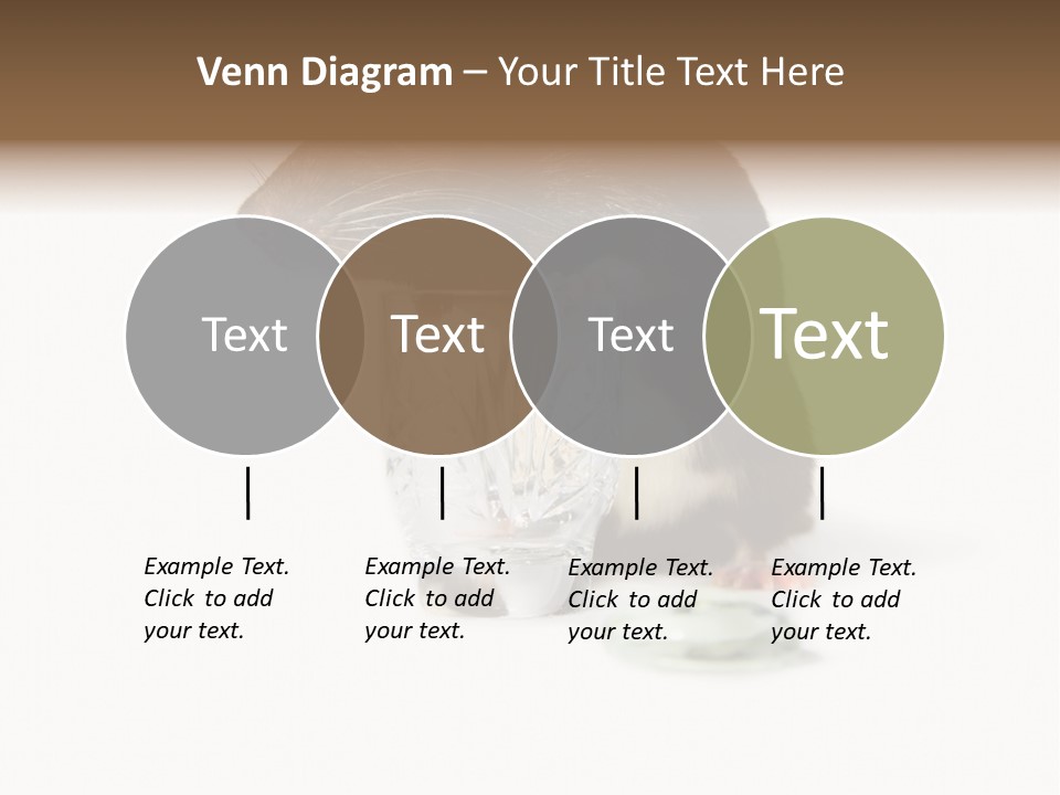 Mouse Test Mammal PowerPoint Template