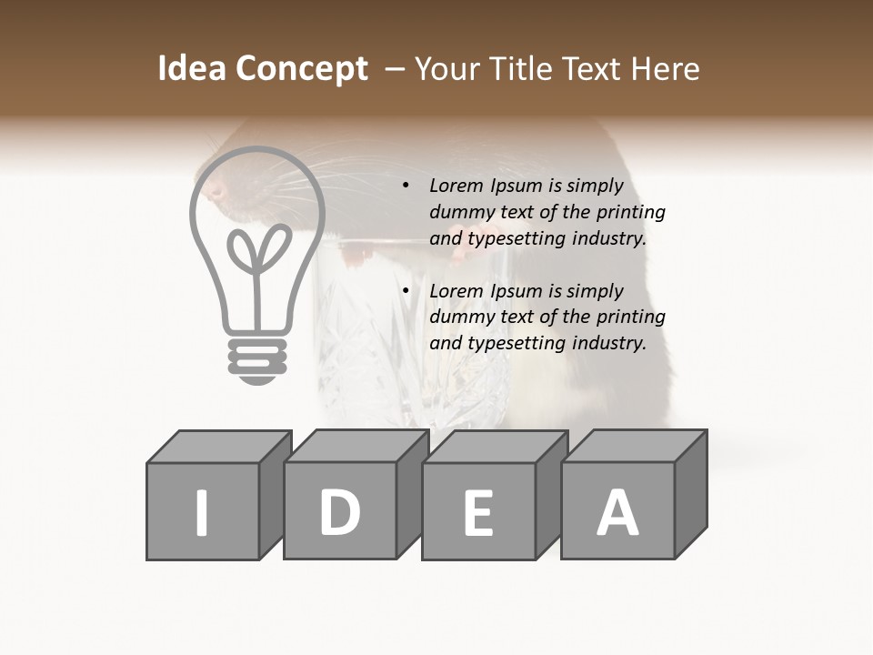 Mouse Test Mammal PowerPoint Template