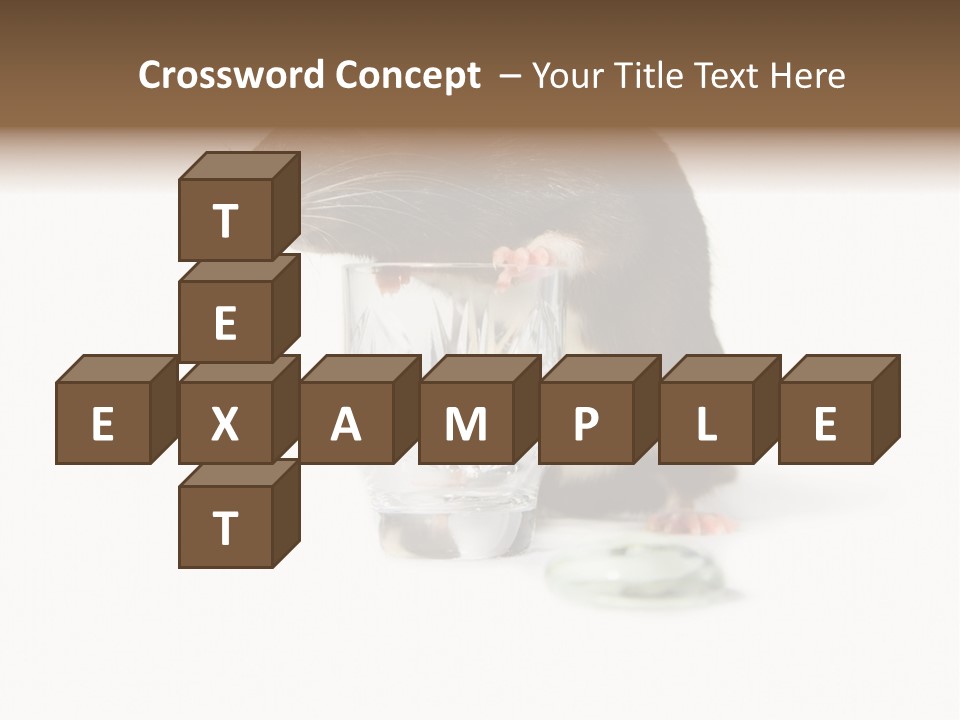 Mouse Test Mammal PowerPoint Template