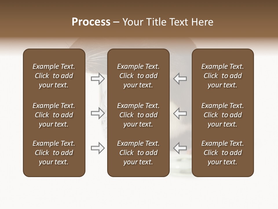 Mouse Test Mammal PowerPoint Template