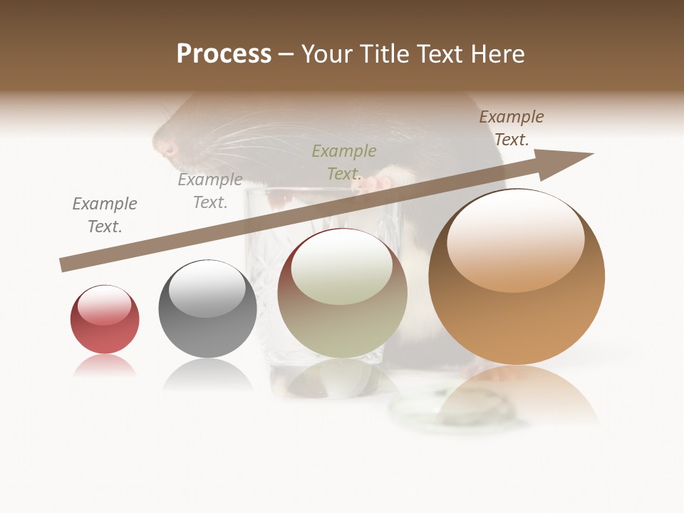 Mouse Test Mammal PowerPoint Template