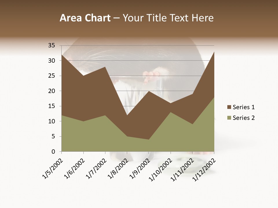 Mouse Test Mammal PowerPoint Template