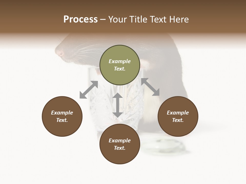 Mouse Test Mammal PowerPoint Template