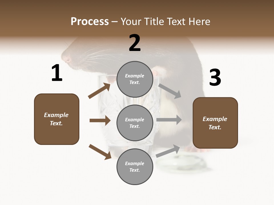 Mouse Test Mammal PowerPoint Template