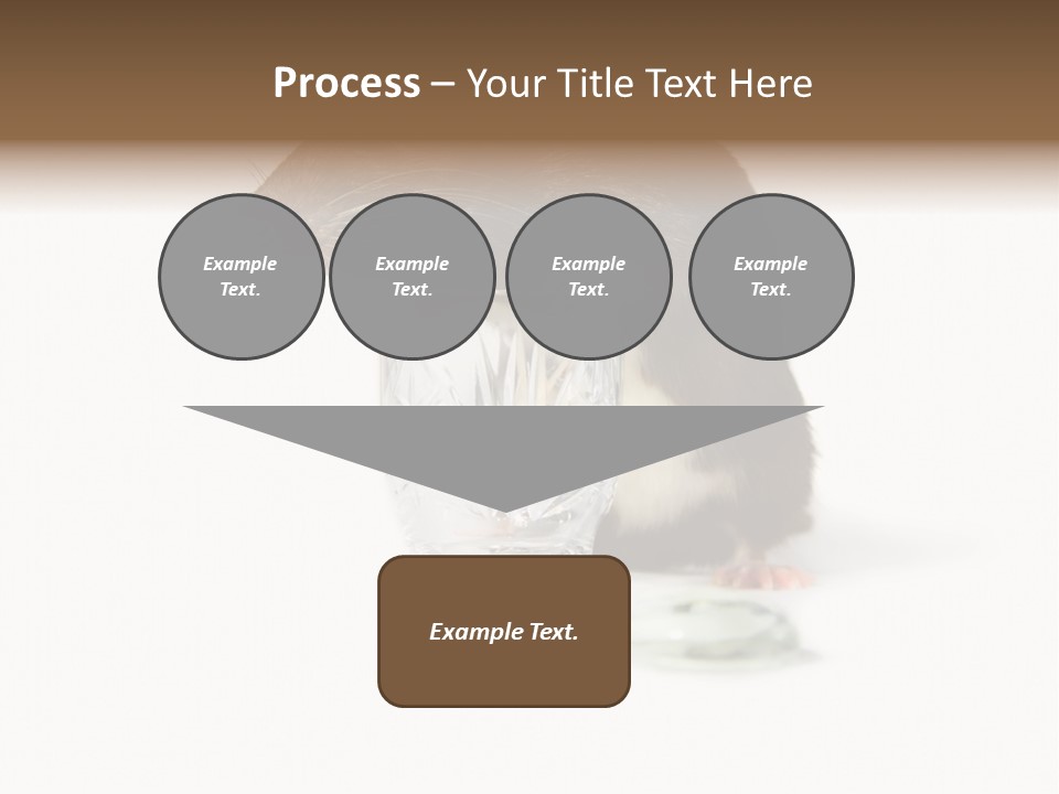 Mouse Test Mammal PowerPoint Template