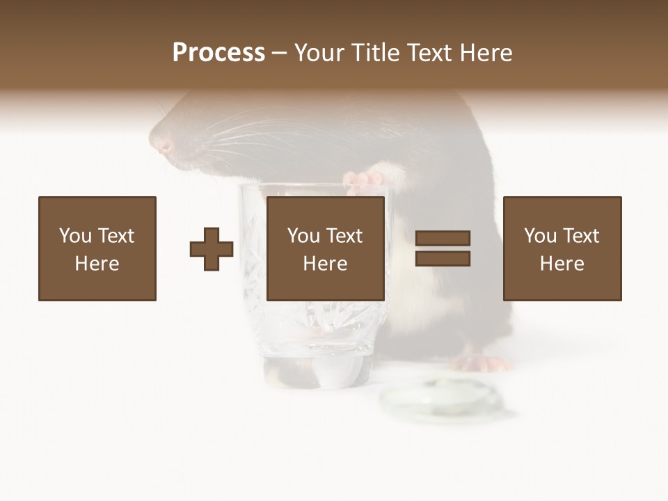 Mouse Test Mammal PowerPoint Template
