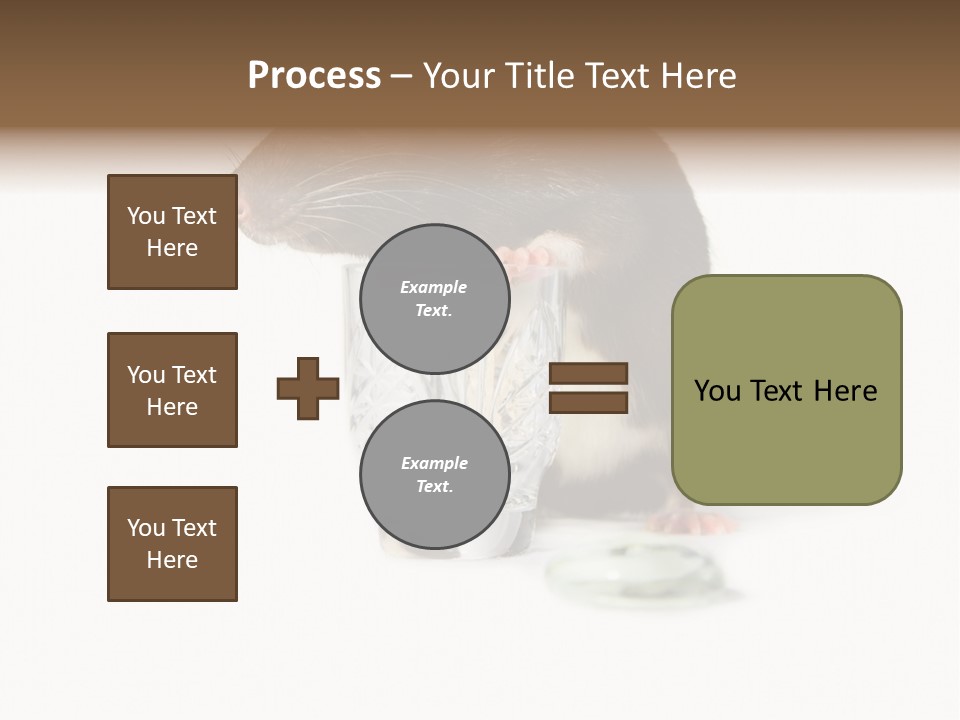 Mouse Test Mammal PowerPoint Template