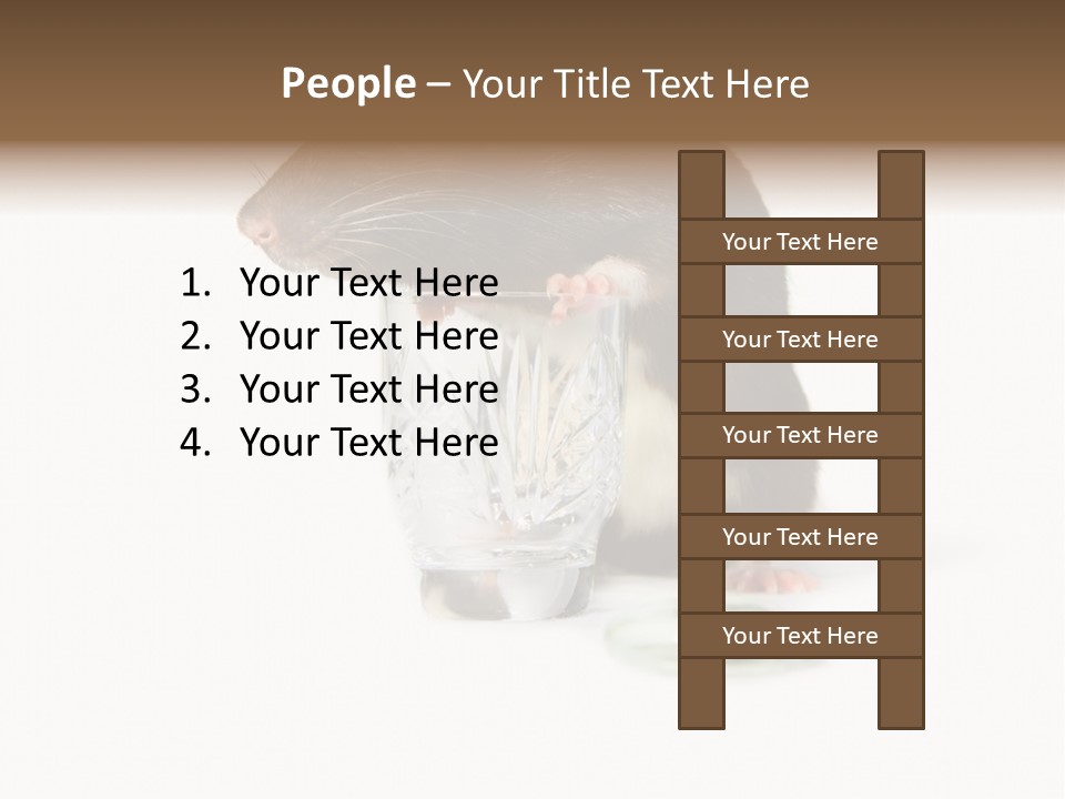 Mouse Test Mammal PowerPoint Template