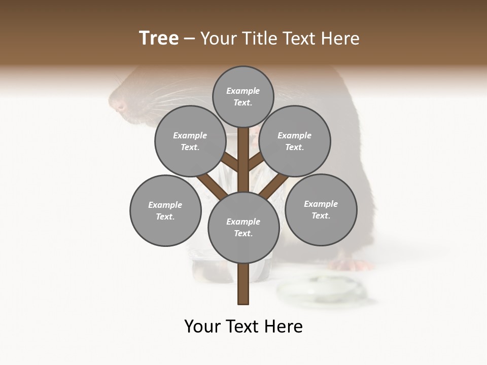 Mouse Test Mammal PowerPoint Template