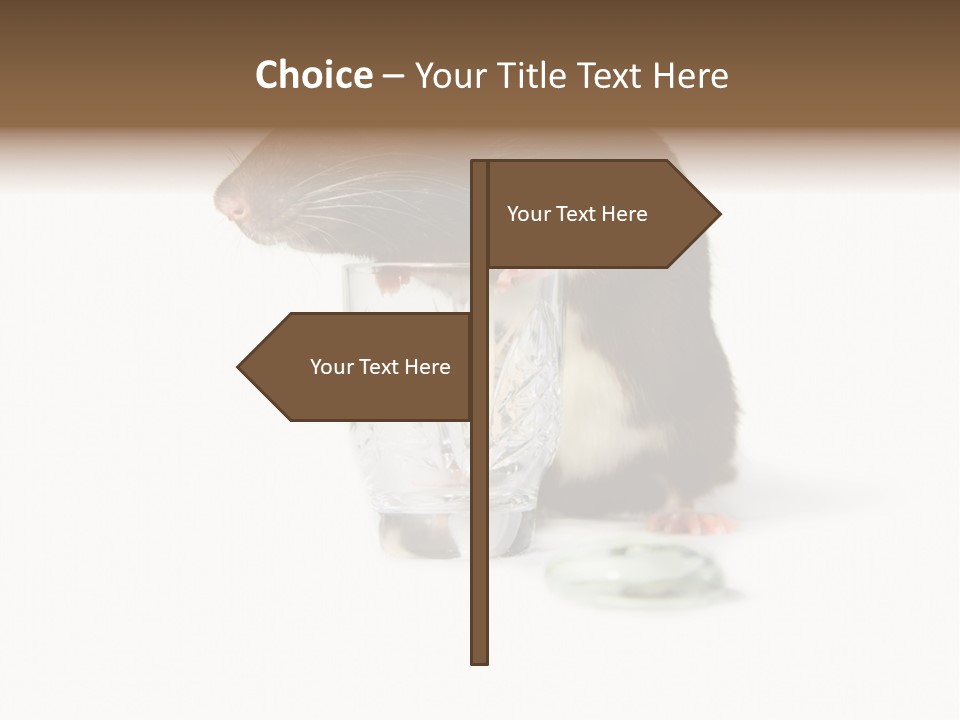 Mouse Test Mammal PowerPoint Template