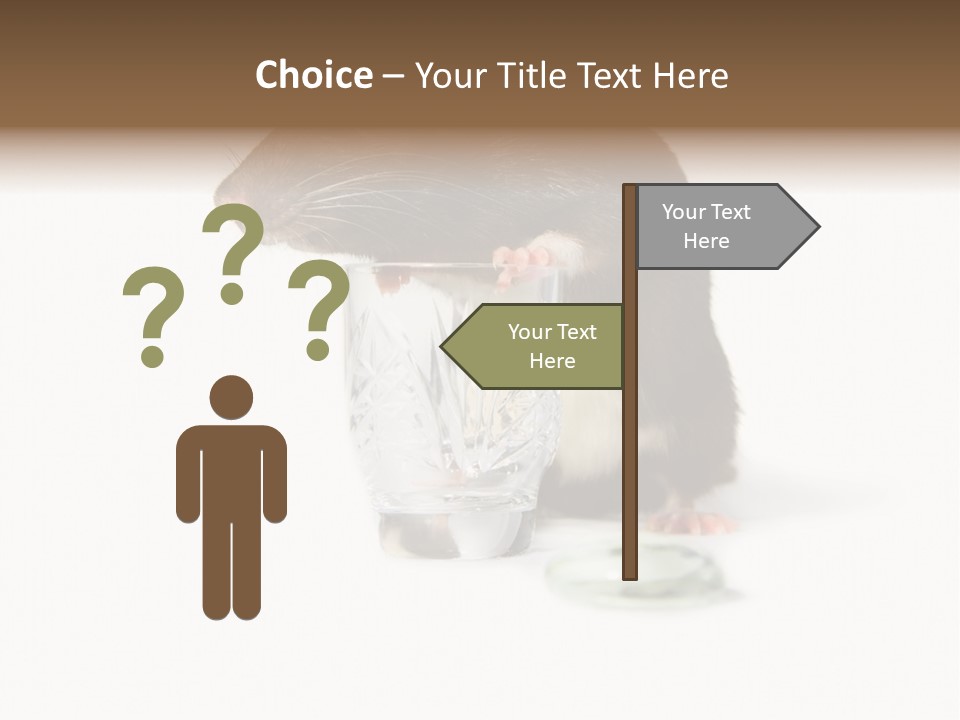 Mouse Test Mammal PowerPoint Template