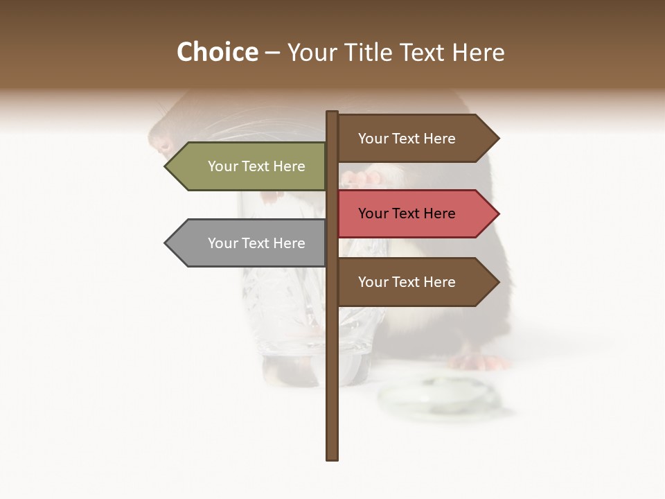 Mouse Test Mammal PowerPoint Template