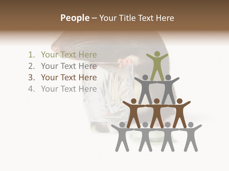 Mouse Test Mammal PowerPoint Template