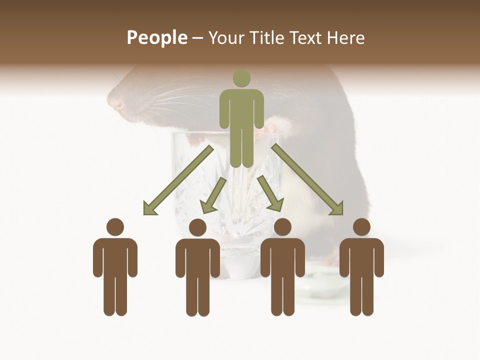 Mouse Test Mammal PowerPoint Template