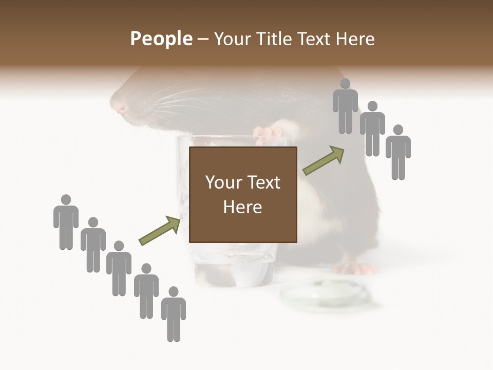 Mouse Test Mammal PowerPoint Template