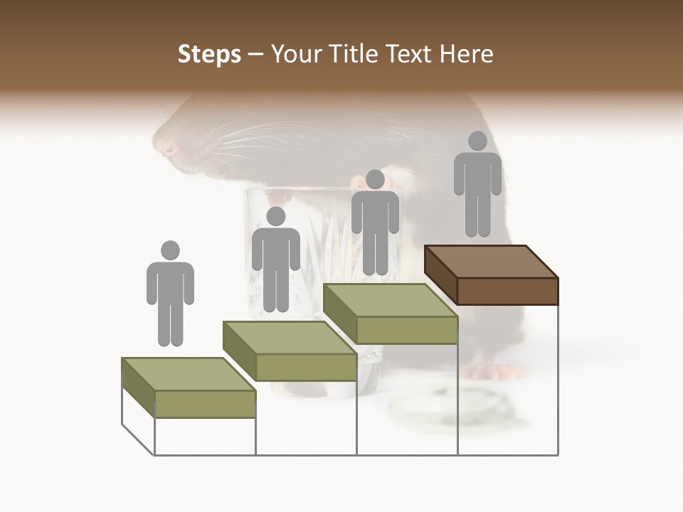 Mouse Test Mammal PowerPoint Template