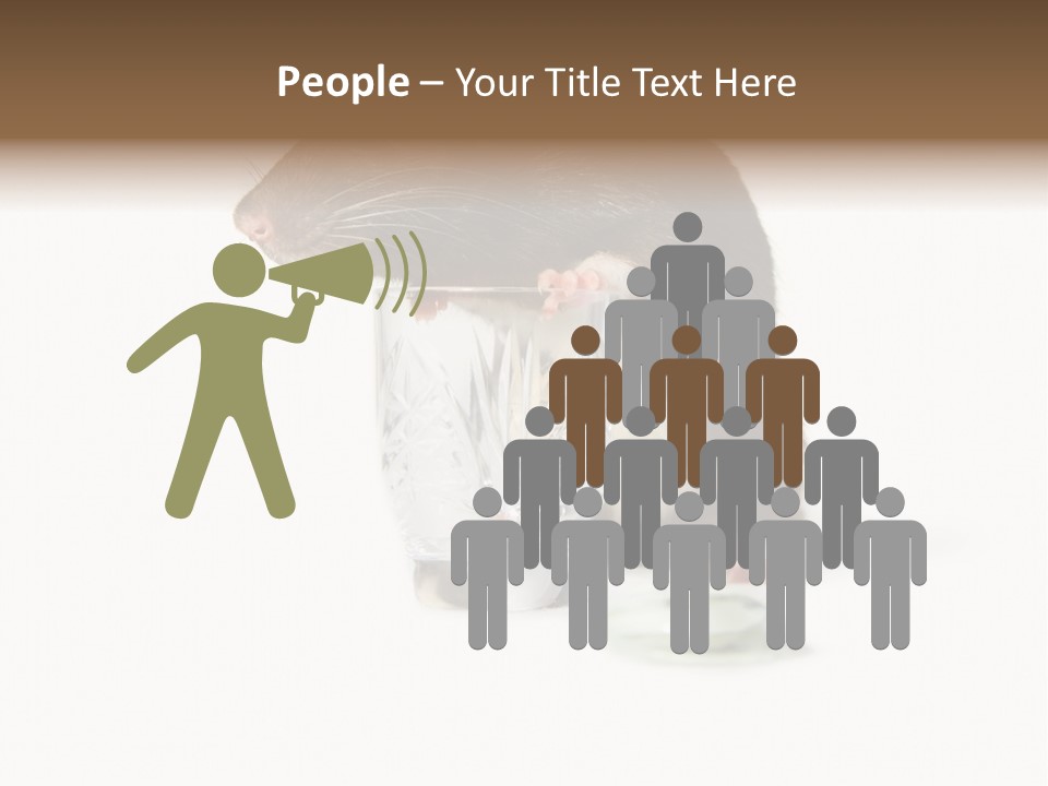 Mouse Test Mammal PowerPoint Template