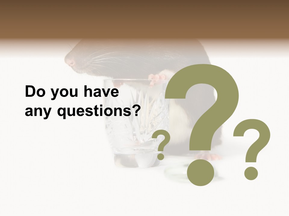 Mouse Test Mammal PowerPoint Template