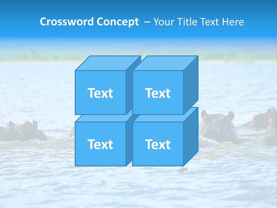 Continent Alertness Hippopotamus PowerPoint Template
