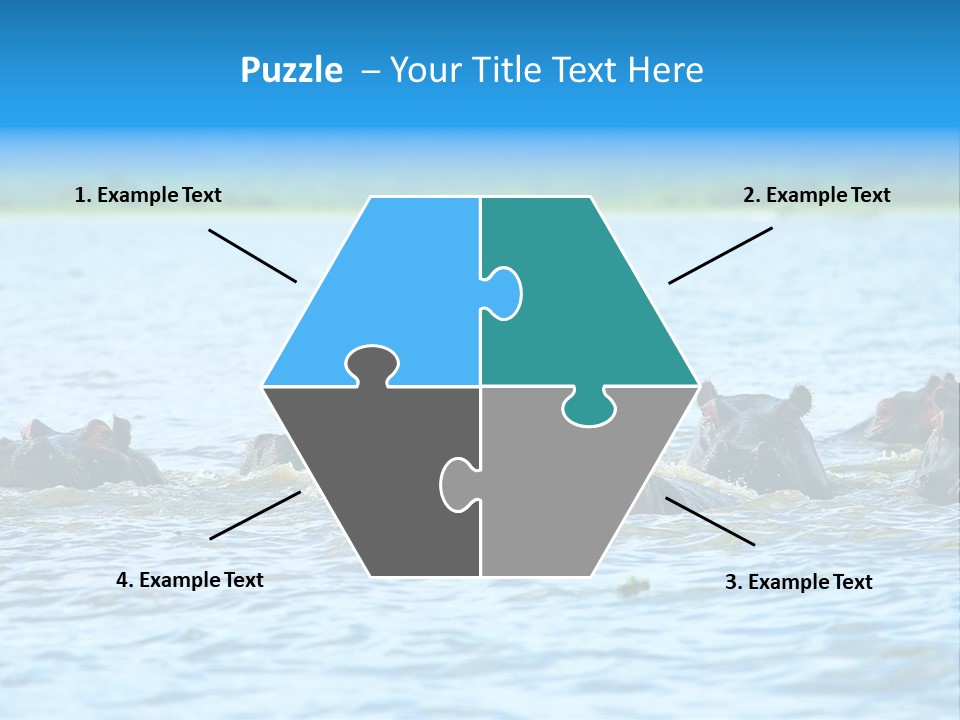 Continent Alertness Hippopotamus PowerPoint Template