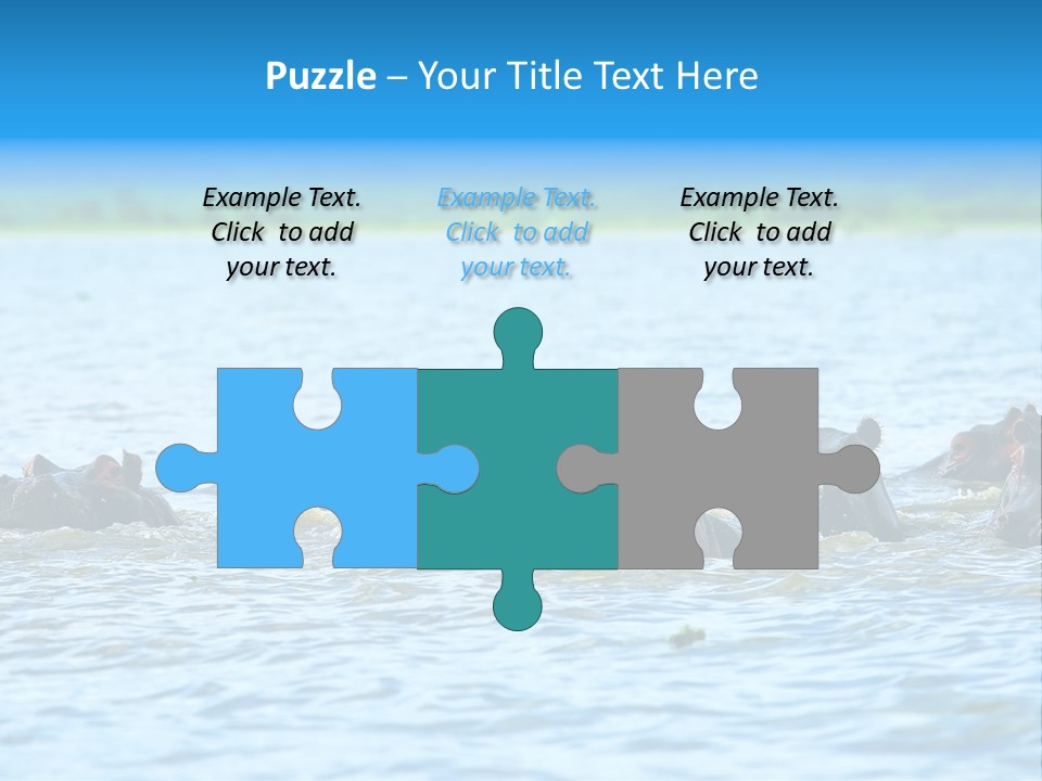 Continent Alertness Hippopotamus PowerPoint Template