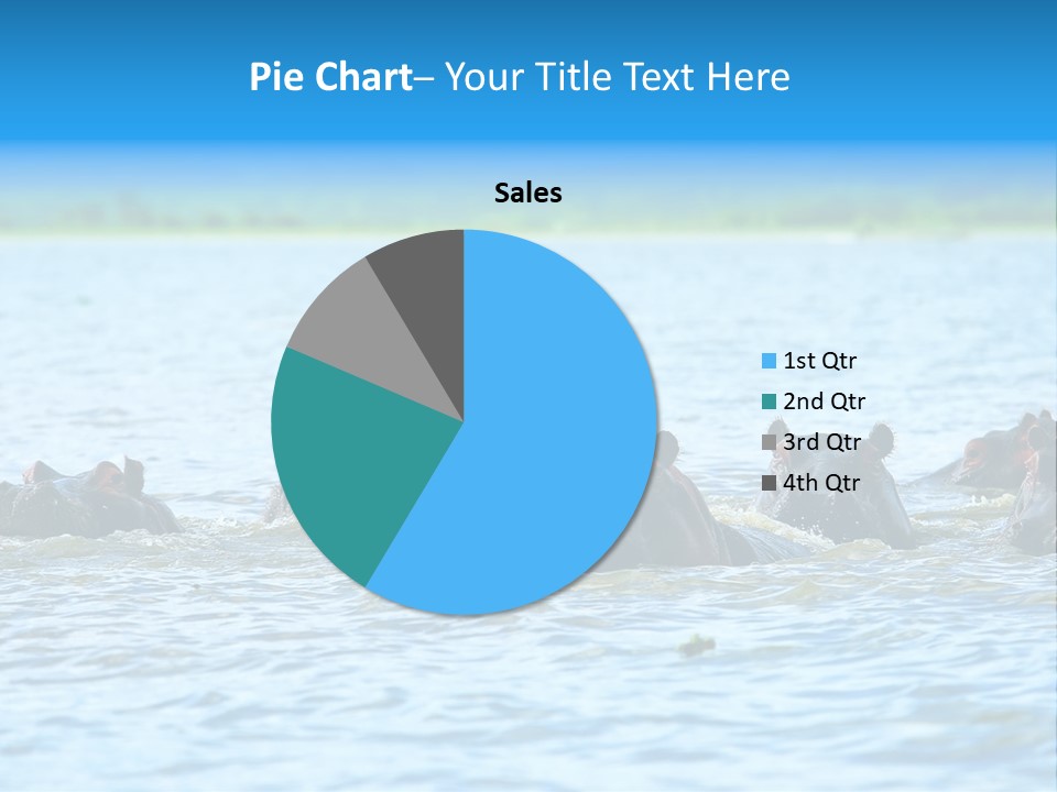 Continent Alertness Hippopotamus PowerPoint Template